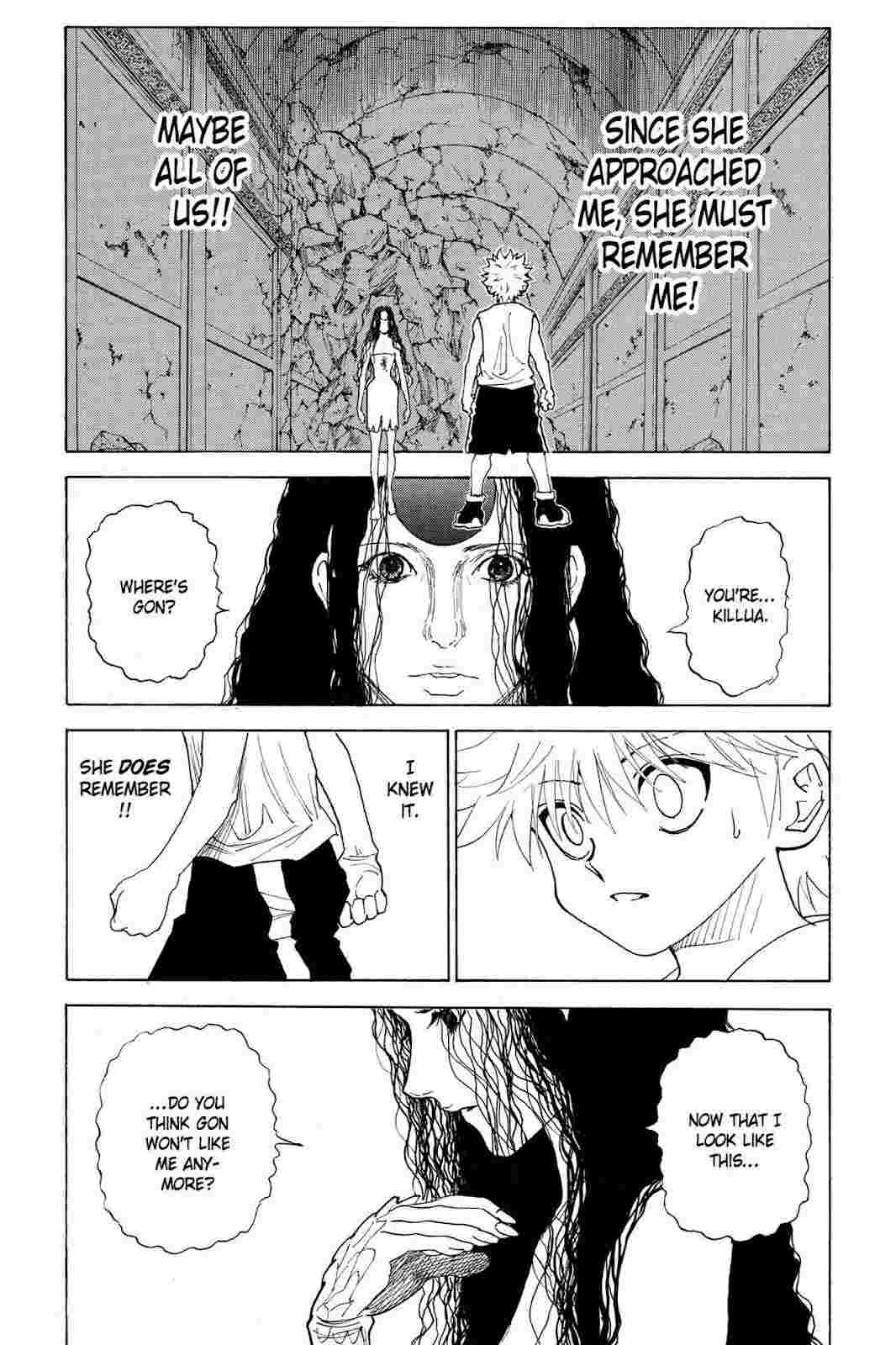 hunter_x_hunter_chapter_293_image_09