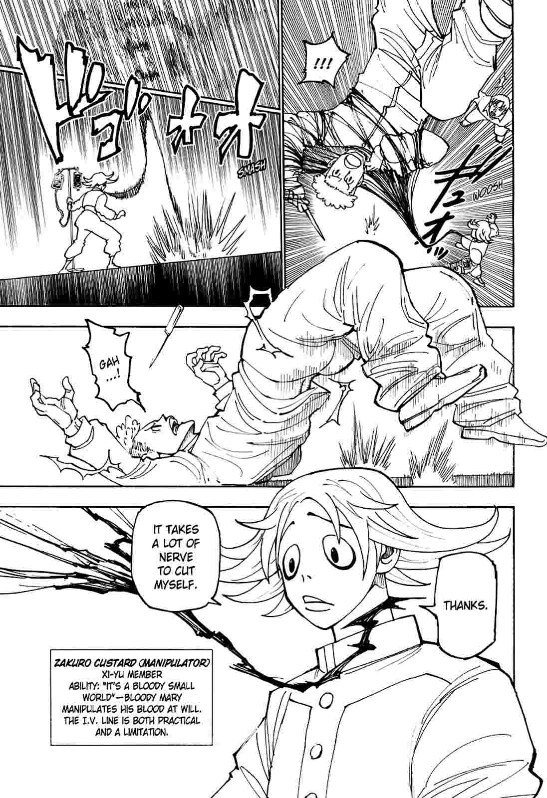 hunter_x_hunter_chapter_390_image_15